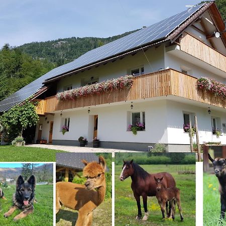 Domacija Loncnar- Apartment Bohinj Buitenkant foto