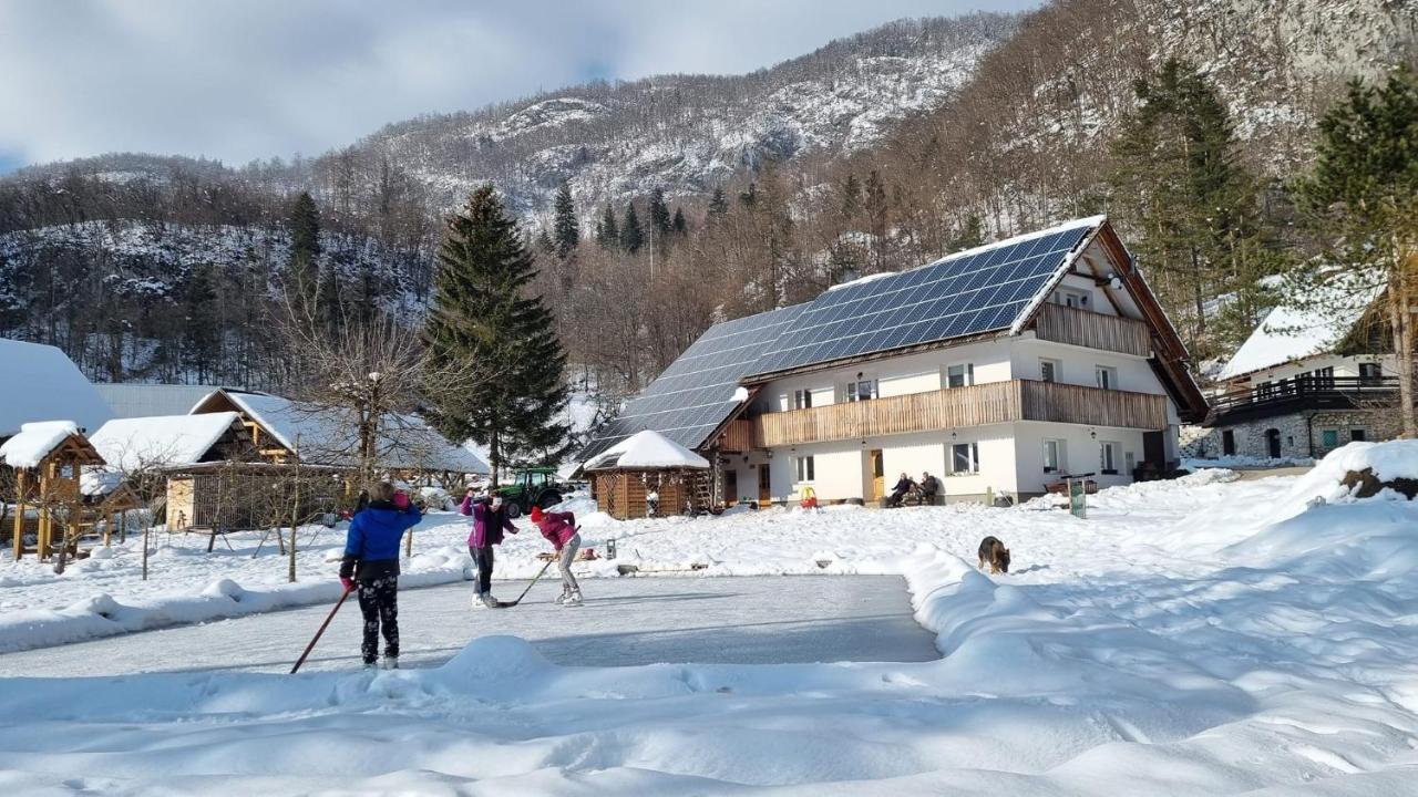 Domacija Loncnar- Apartment Bohinj Buitenkant foto