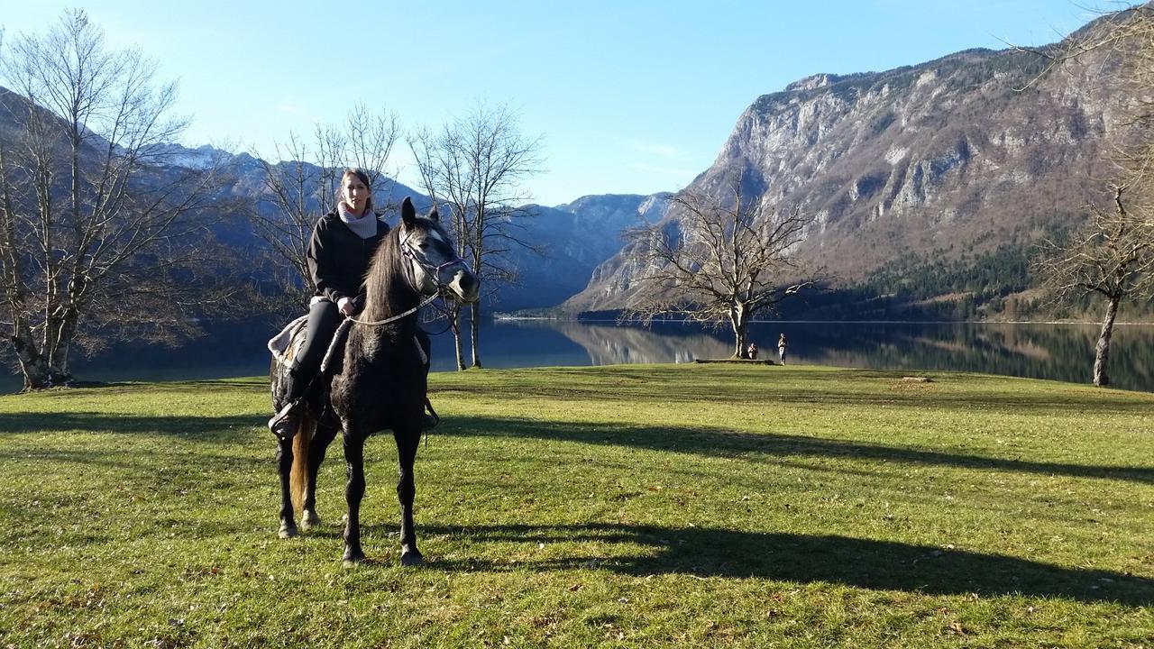 Domacija Loncnar- Apartment Bohinj Buitenkant foto
